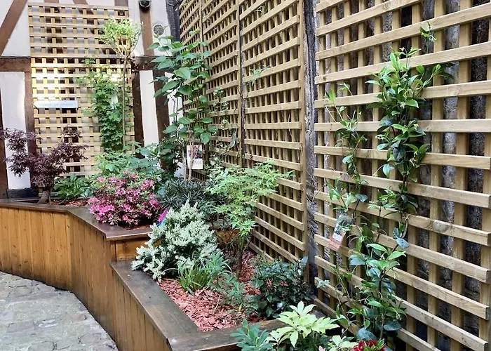 L Hibiscus 1 Appartement